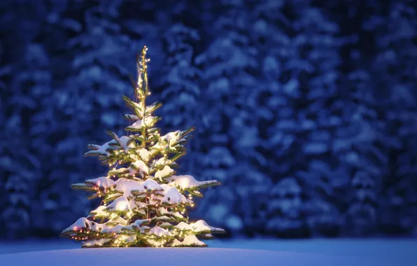 Lights, елка, Новый Год, Рождество, Christmas, night, winter, snow