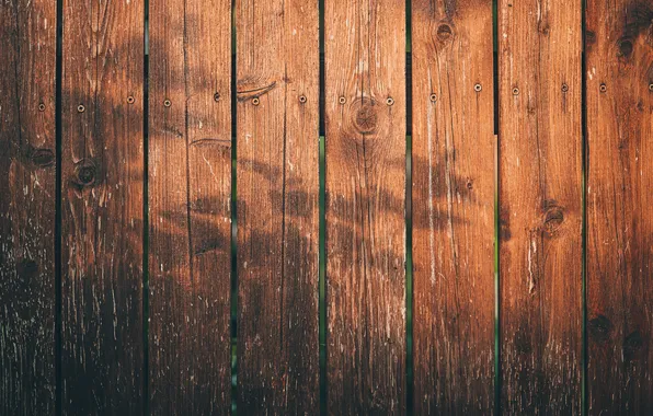 Wood, pattern, branch, shadow