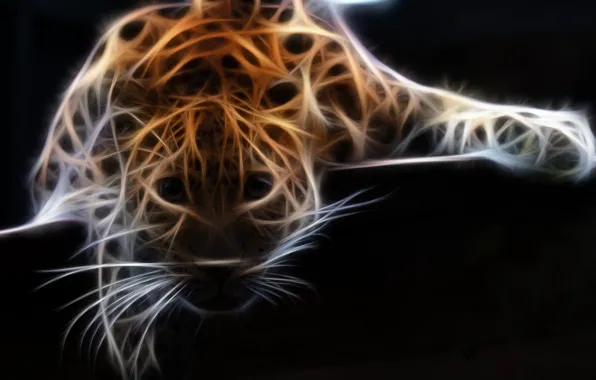 Photoshop, animal, Leopard