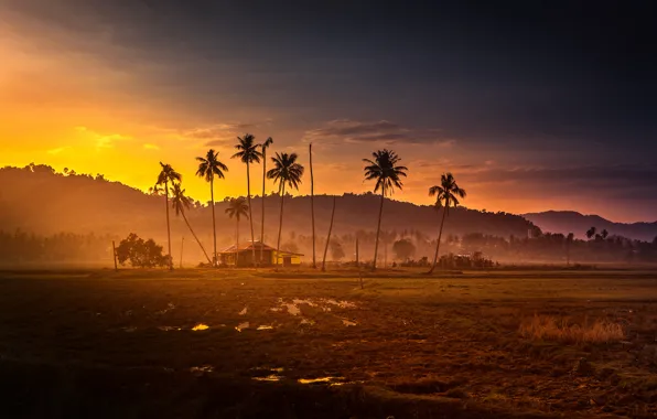 Картинка пальмы, malaysia, горы, хижина, джунгли, закат