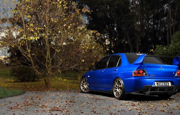 Forest, mitsubishi, japan, blue, jdm, tuning, lancer, evolution