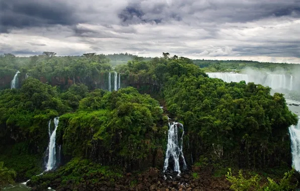 Картинка лес, природа, джунгли, водопады, реки, Игуасу