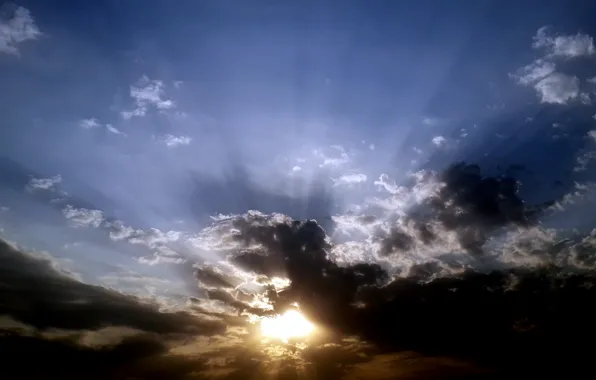 Sky, nature, cloud, art, dinosaur, suhart, cloud art