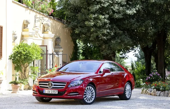 Машинка, красная, мерс, mercedesbenzcls5502012w