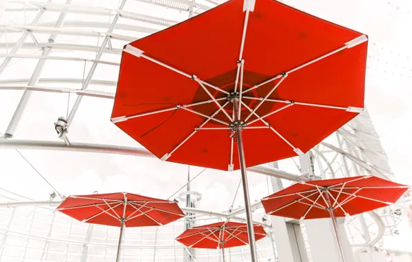Красный, зонт, зонты, red, umbeella