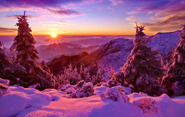 Картинка зима, лес, небо, снег, деревья, закат, горы, ель