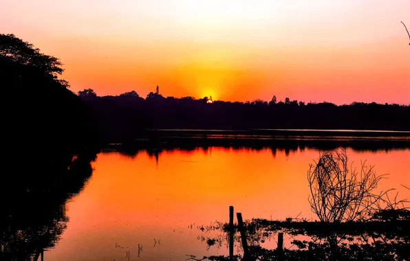 Sun, Water, Sunrise, Dawn, Morning, Lake, Trees, Reflection