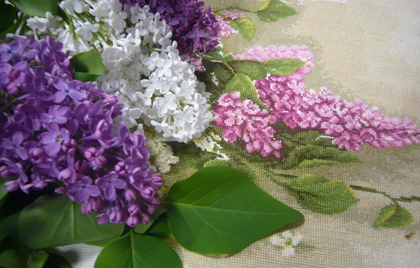 May, lilac, hobby, embrodery