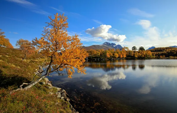 Осень, озеро, Норвегия, октябрь 2019
