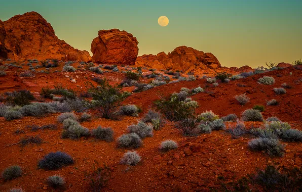 Картинка USA, Moon, Nature, Landscape, Nevada, Photo, Moonrise, Valley