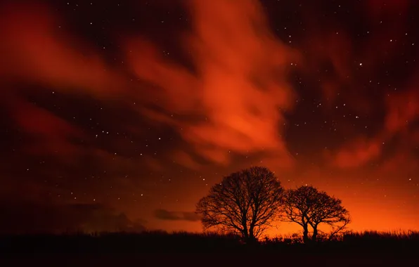 Картинка небо, звезды, облака, деревья, ночь, силуэт