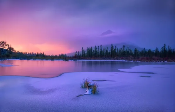 Картинка зима, деревья, закат, горы, озеро, Канада, Альберта, Banff National Park