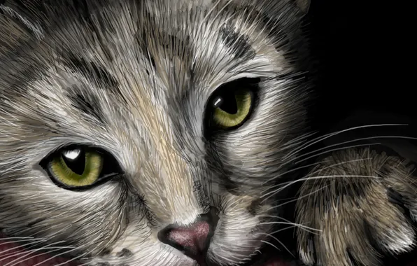 Картинка взгляд, котенок, лапки, мордочка, живопись, ушки, зеленые глаза
