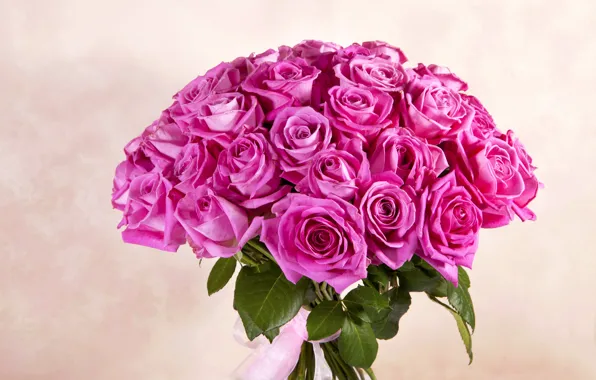 Яркие, розы, букет, colorful, розовые, flowers, bouquet, roses