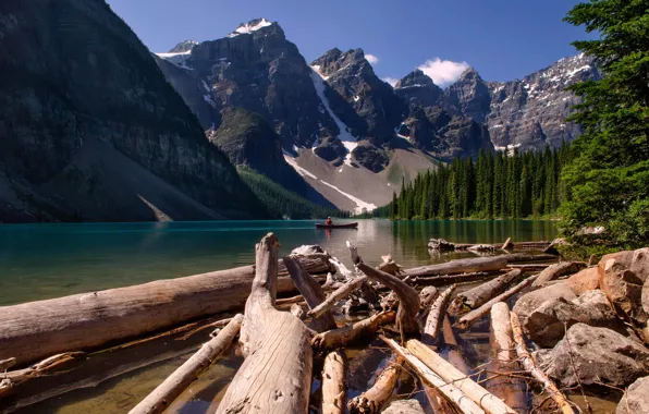 Картинка лес, деревья, пейзаж, горы, природа, река, Канада