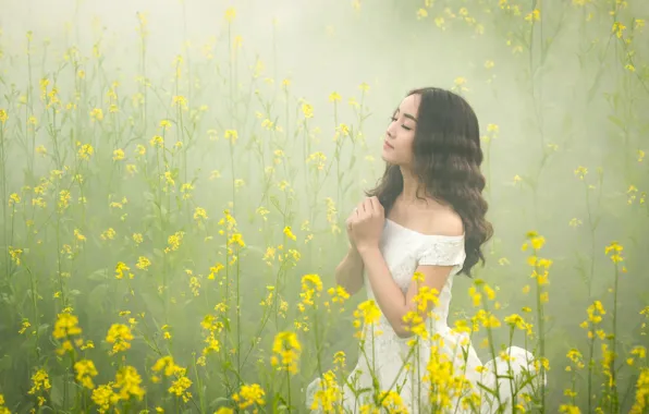 Картинка цветы, природа, туман, модель, луг, азиатка