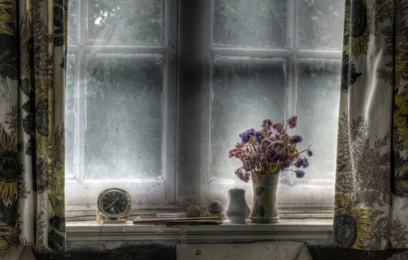 Цветы, часы, окно