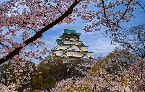 Картинка деревья, пейзаж, природа, весна, Япония, сакура, храм, цветение