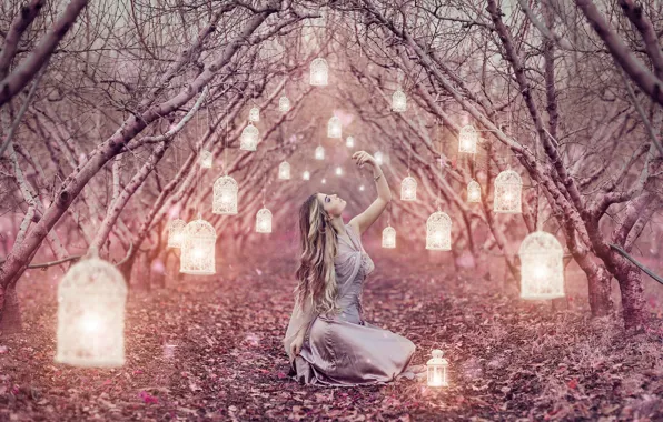 Картинка девушка, аллея, фонарики, Alessandro Di Cicco, Magic Lanterns