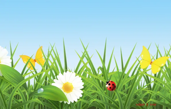 Картинка бабочка, ромашки, луг