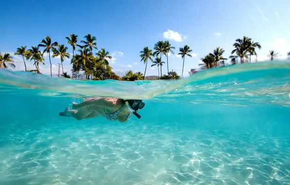 Девушка, пальмы, океан, спорт, Сейшелы, плавание, ласты, diving