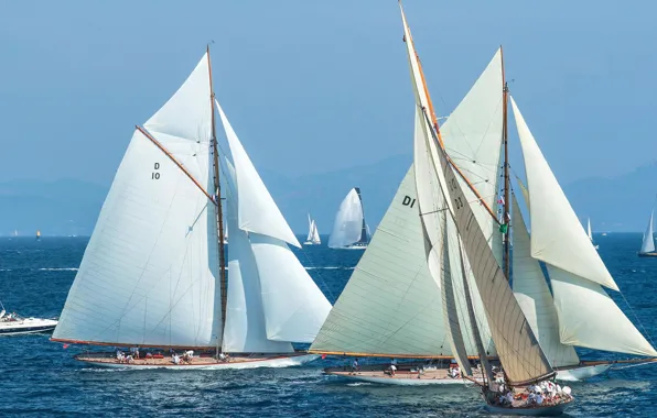 Море, Франция, яхта, парус, регата, парусный спорт, Voiles de Saint-Tropez