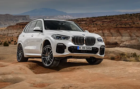 2018, Sport, кроссовер, BMW X5 M, XDrive30d