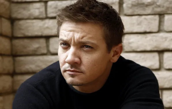 Actor, men, Jeremy Renner