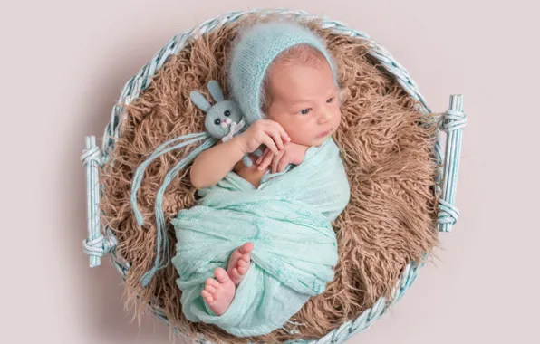 Корзина, игрушка, ребенок, мальчик, малыш, мех, кокон, шапочка