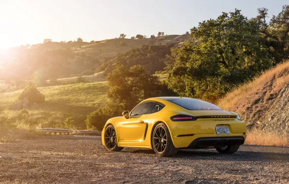 Porsche, Cayman, вид сзади, GTS, 718, 2019