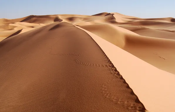 Песок, Пустыня, Следы