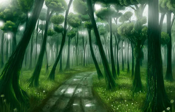 Картинка лес, свет, deep forest
