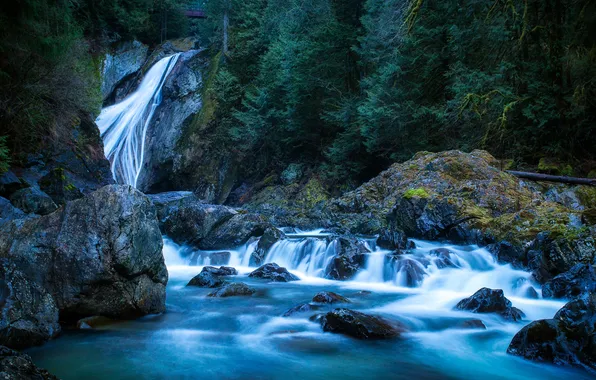 Картинка лес, деревья, скала, река, камни, водопад, поток, сша