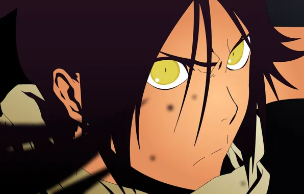 Bleach, anime, shihouin yoruichi