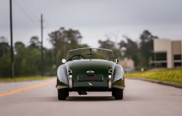 Картинка Jaguar, 1954, XK120, Jaguar XK120 SE Roadster