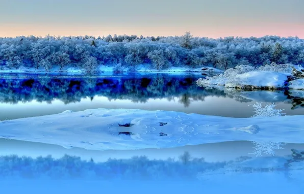 Картинка зима, иней, лес, небо, снег, деревья, отражение, река