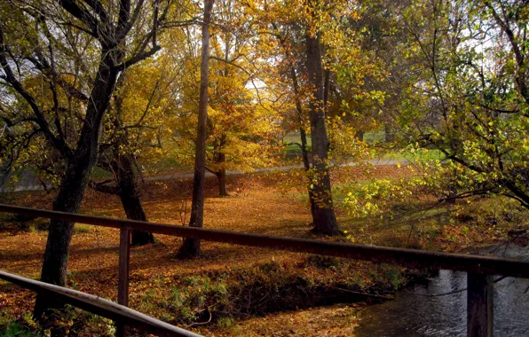 Картинка Осень, Деревья, Fall, Листва, Речка, Autumn, Colors, River