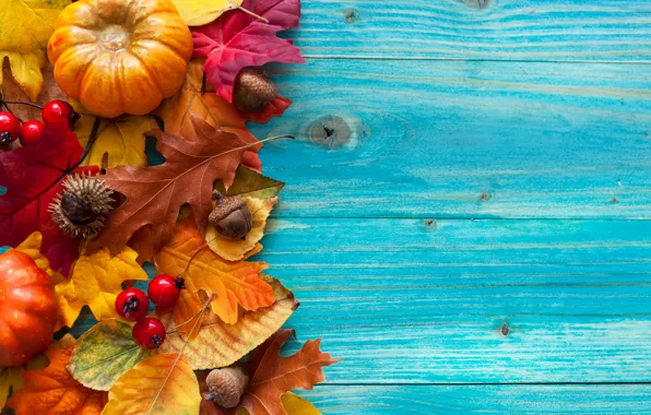 Картинка осень, листья, ягоды, дерево, урожай, тыквы, желуди