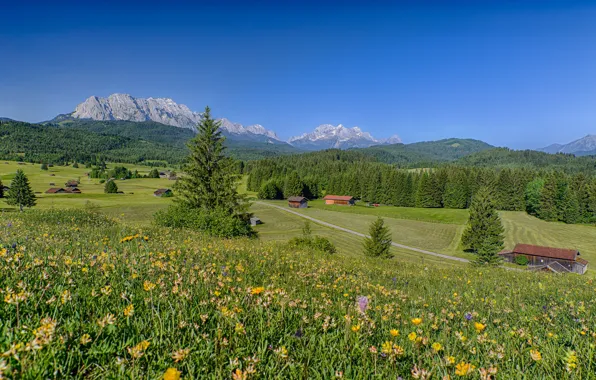 Лес, пейзаж, цветы, горы, дома, Германия, Бавария, Альпы