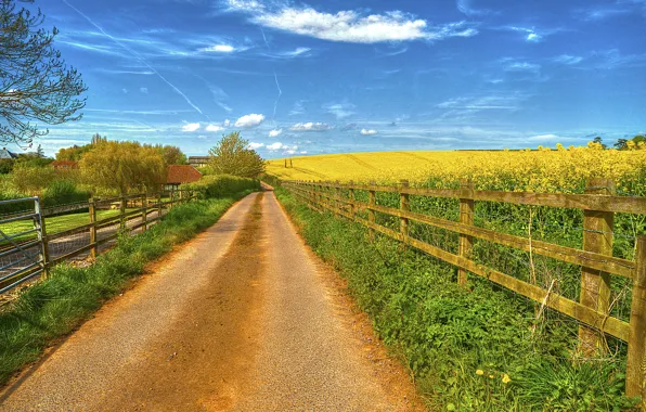 Картинка дорога, поле, небо, трава, облака, забор, дома, цветущее