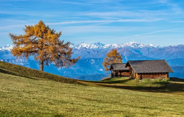 Осень, горы, дом, дерево, Альпы, Италия, Южный Тироль