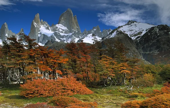 Картинка небо, облака, снег, деревья, горы, Аргентина, Патагония