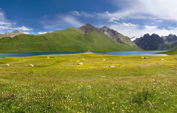 Картинка небо, облака, цветы, горы, озеро, камни, луг, Тибет