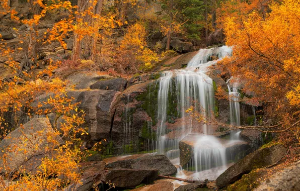 Картинка осень, деревья, скала, водопад, Калифорния, каскад, California, Eastern Sierra