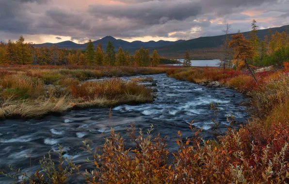 Картинка осень, пейзаж, горы, тучи, природа, ручей, Колыма, Максим Евдокимов