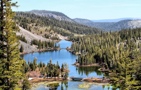 Лес, горы, озеро, California, Mammoth Lakes