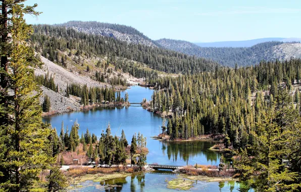 Картинка лес, горы, озеро, California, Mammoth Lakes