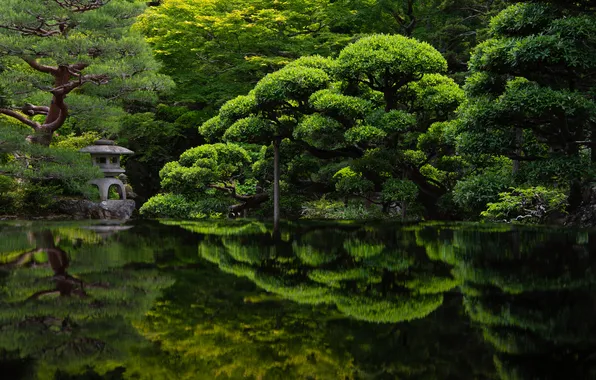 Green, Japan, Kyoto, trees, landscape, nature, water, garden