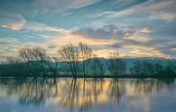 Деревья, природа, река