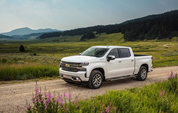 Авто, лес, холмы, Chevrolet, Silverado